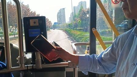 （金山巴士）金山中部环线外圈  康和路德贤路→康兴路朱吕公路（绝版）