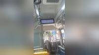 1671路  罗星南路众安街