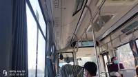 南金线  亭枫公路教考基地--南亭公路松金公路