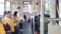 （锦山客运）亭林1路 亭耀路林安路(亭林大居)→松育路松隐中学