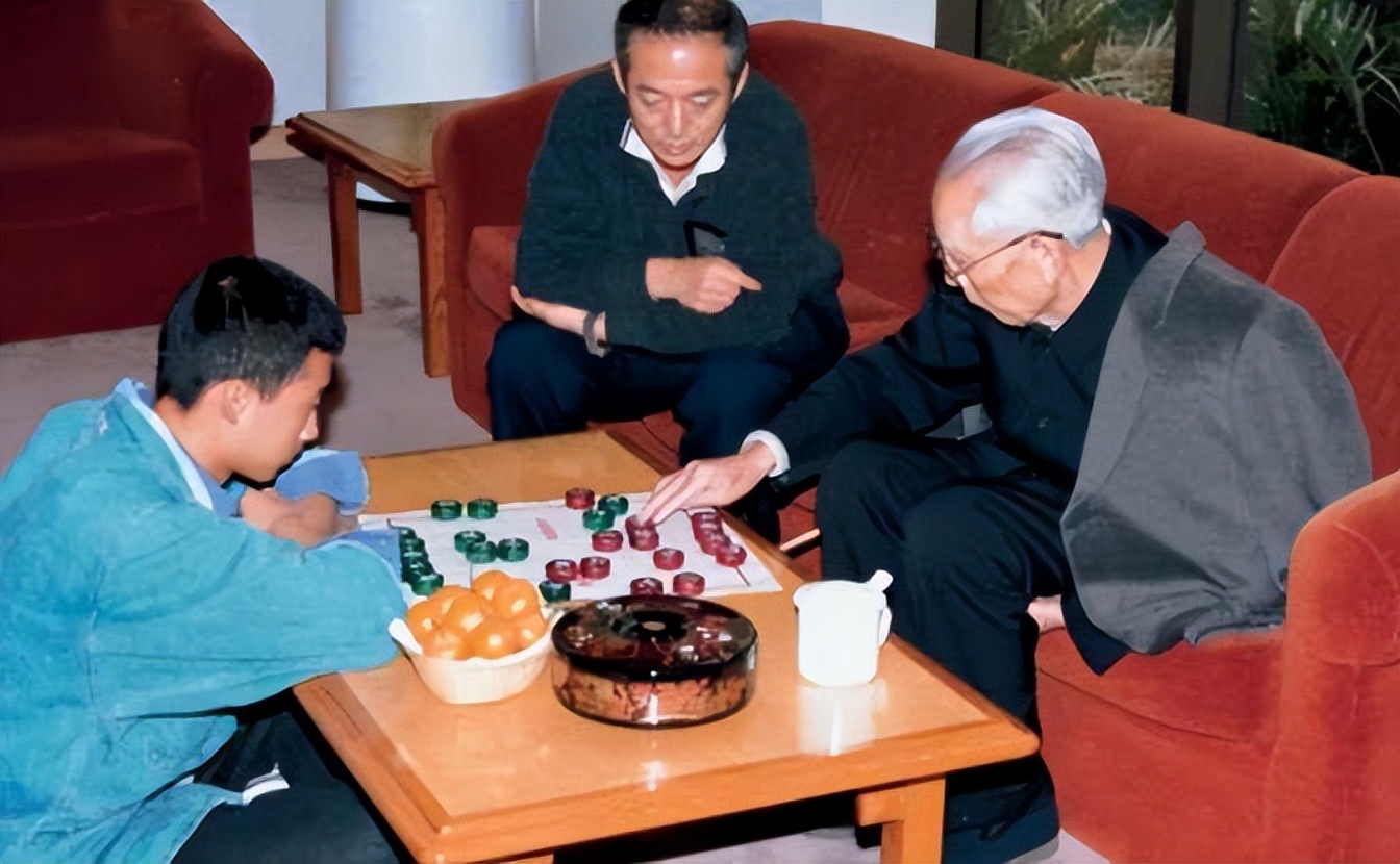 王京阳 王震后代 王兵儿子_王中磊是王震的孙子吗