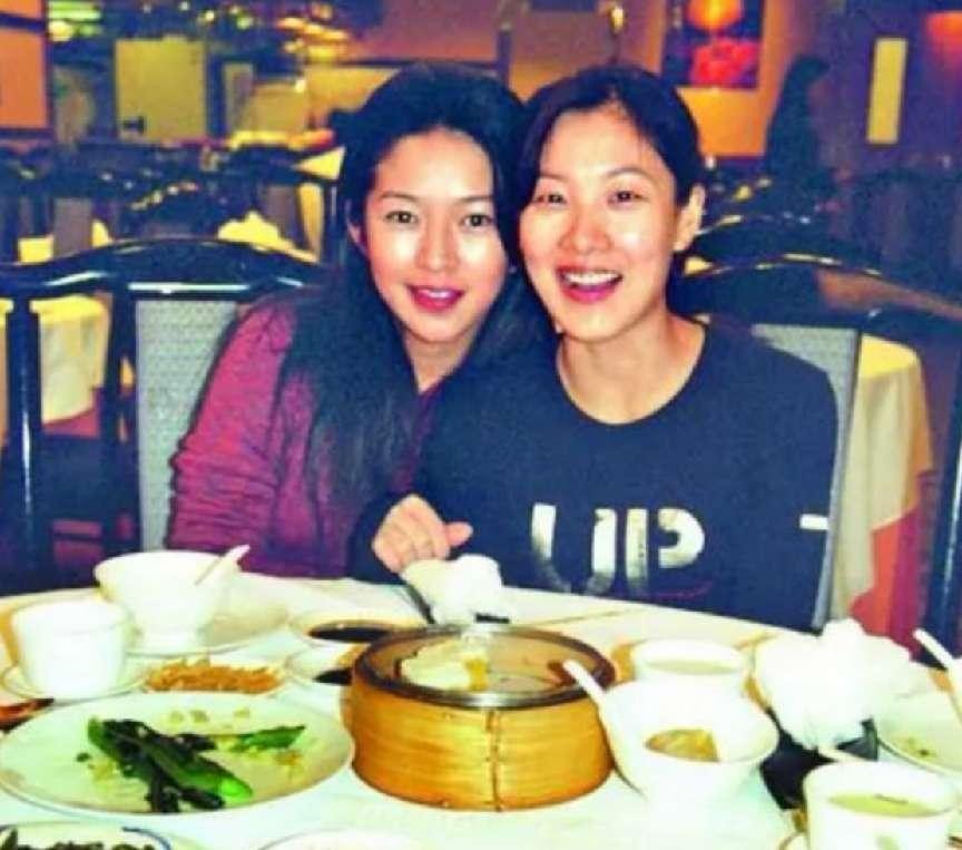 王京阳 王震后代 王兵儿子_王中磊是王震的孙子吗