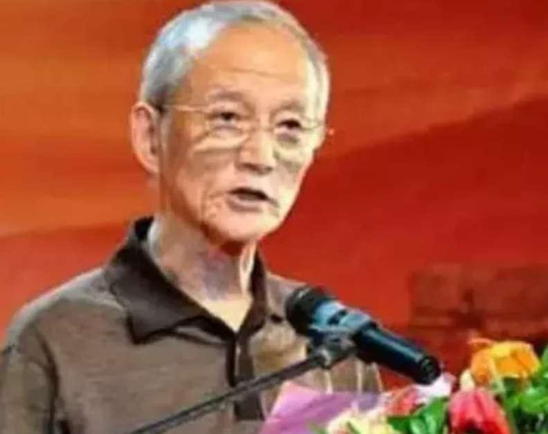 王中磊是王震的孙子吗_王京阳 王震后代 王兵儿子
