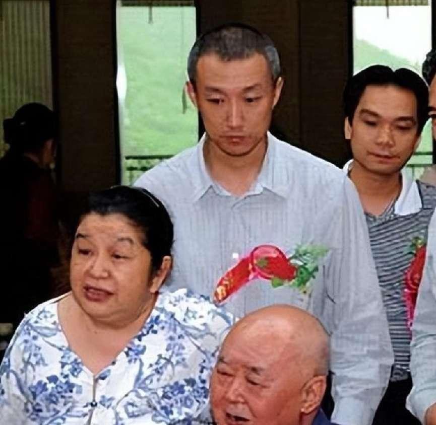 王中磊是王震的孙子吗_王京阳 王震后代 王兵儿子