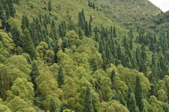 贵州风景名胜区_贵州花江大峡谷_贵州关岭花江大峡谷