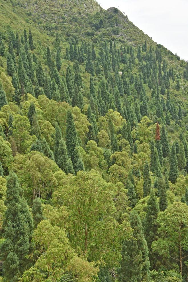 贵州关岭花江大峡谷_贵州花江大峡谷_贵州风景名胜区
