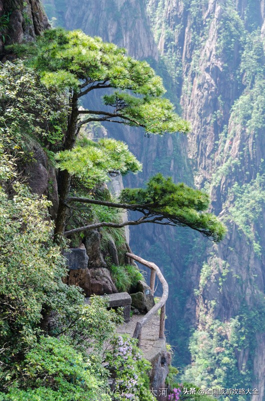 黄山四季美景_迎客松云海奇观_黄山生态农业农业观光园总体景观规划设计