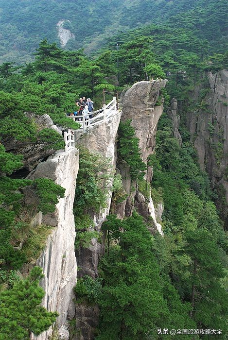 迎客松云海奇观_黄山生态农业农业观光园总体景观规划设计_黄山四季美景