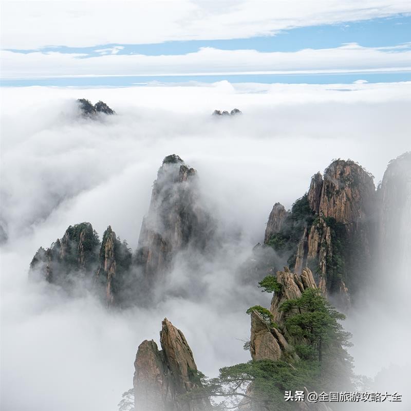 黄山生态农业农业观光园总体景观规划设计_黄山四季美景_迎客松云海奇观