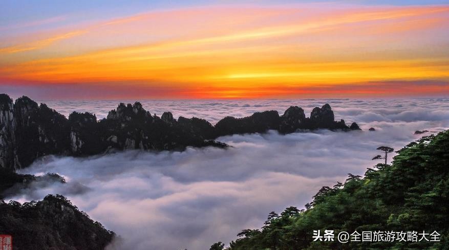 迎客松云海奇观_黄山四季美景_黄山生态农业农业观光园总体景观规划设计