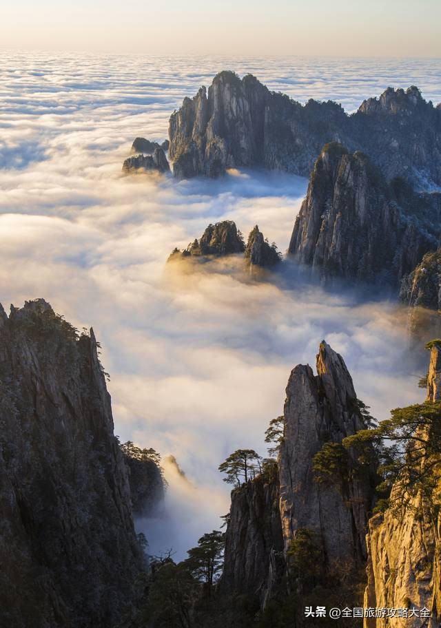 黄山四季美景_黄山生态农业农业观光园总体景观规划设计_迎客松云海奇观
