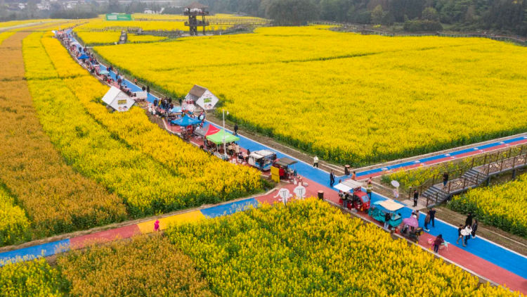 峨眉到雅安野地_雅安全国最美国道318公路旅行目的地_雅安交旅融合示范区