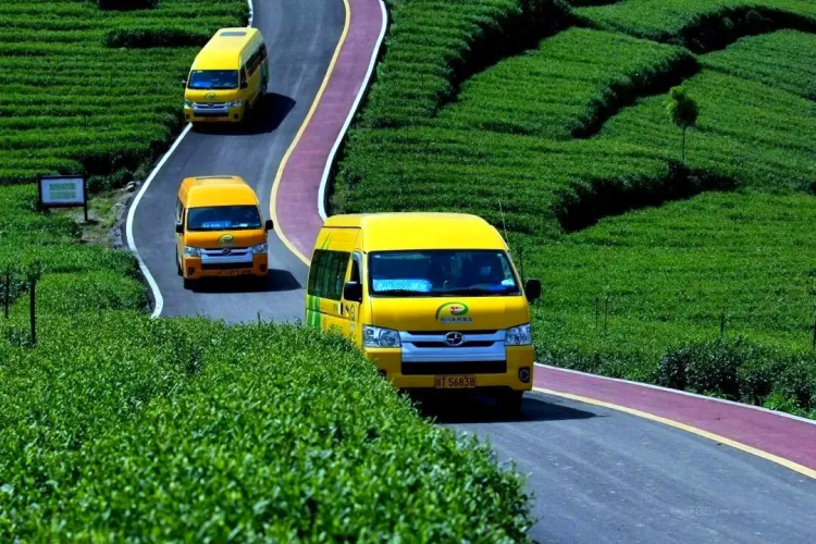 雅安交旅融合示范区_峨眉到雅安野地_雅安全国最美国道318公路旅行目的地