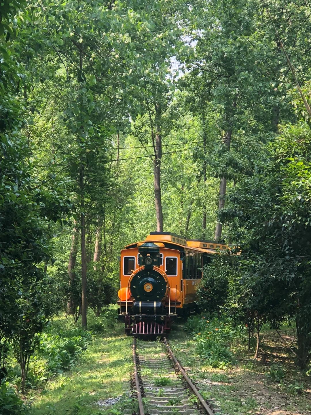 巢湖大环线旅游路线_巢湖环湖景点攻略_巢湖拍婚纱景点