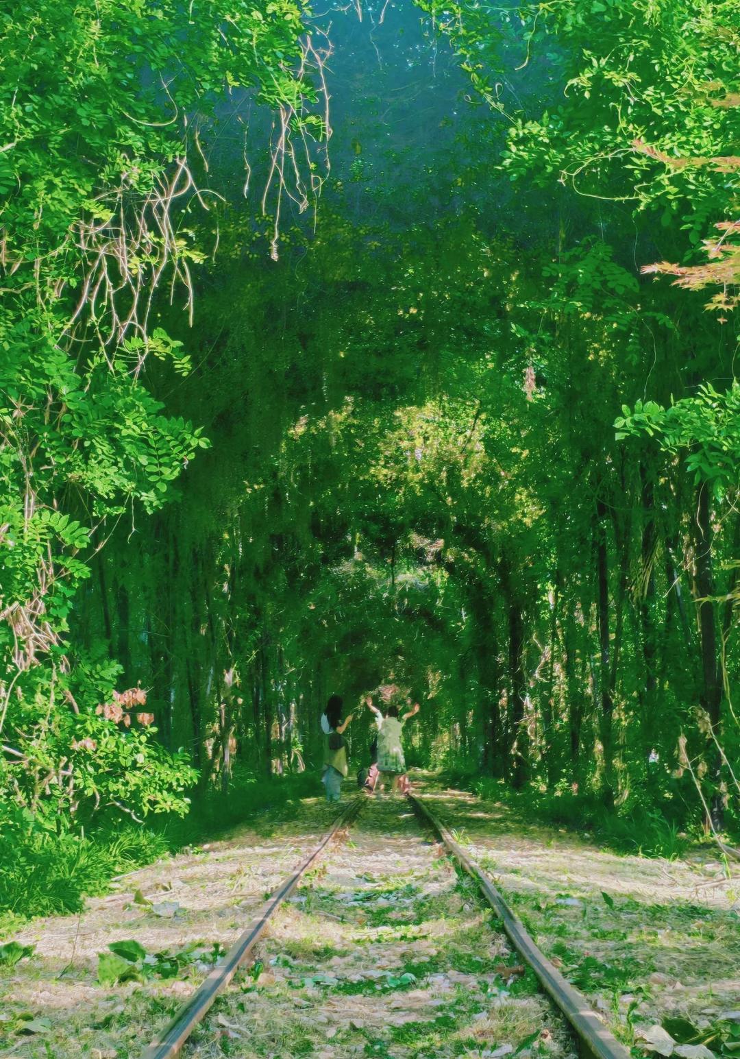 巢湖拍婚纱景点_巢湖大环线旅游路线_巢湖环湖景点攻略