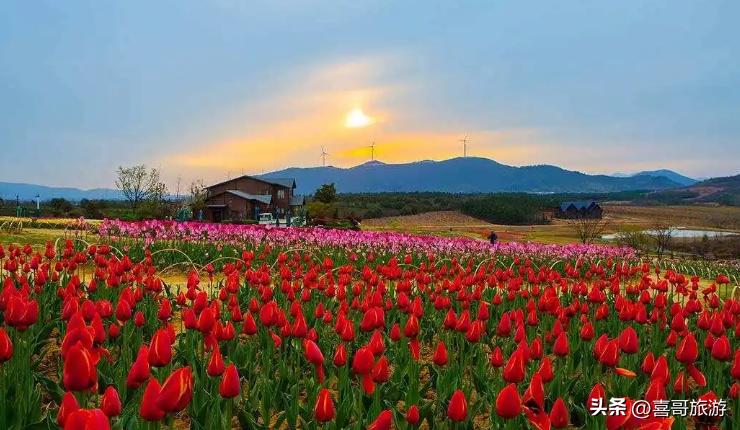 巢湖拍婚纱景点_巢湖中庙姥山岛景区_巢湖湿地景点推荐