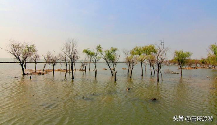 巢湖拍婚纱景点_巢湖中庙姥山岛景区_巢湖湿地景点推荐