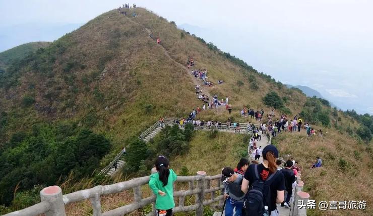 巢湖中庙姥山岛景区_巢湖拍婚纱景点_巢湖湿地景点推荐