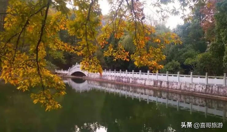 巢湖拍婚纱景点_巢湖湿地景点推荐_巢湖中庙姥山岛景区