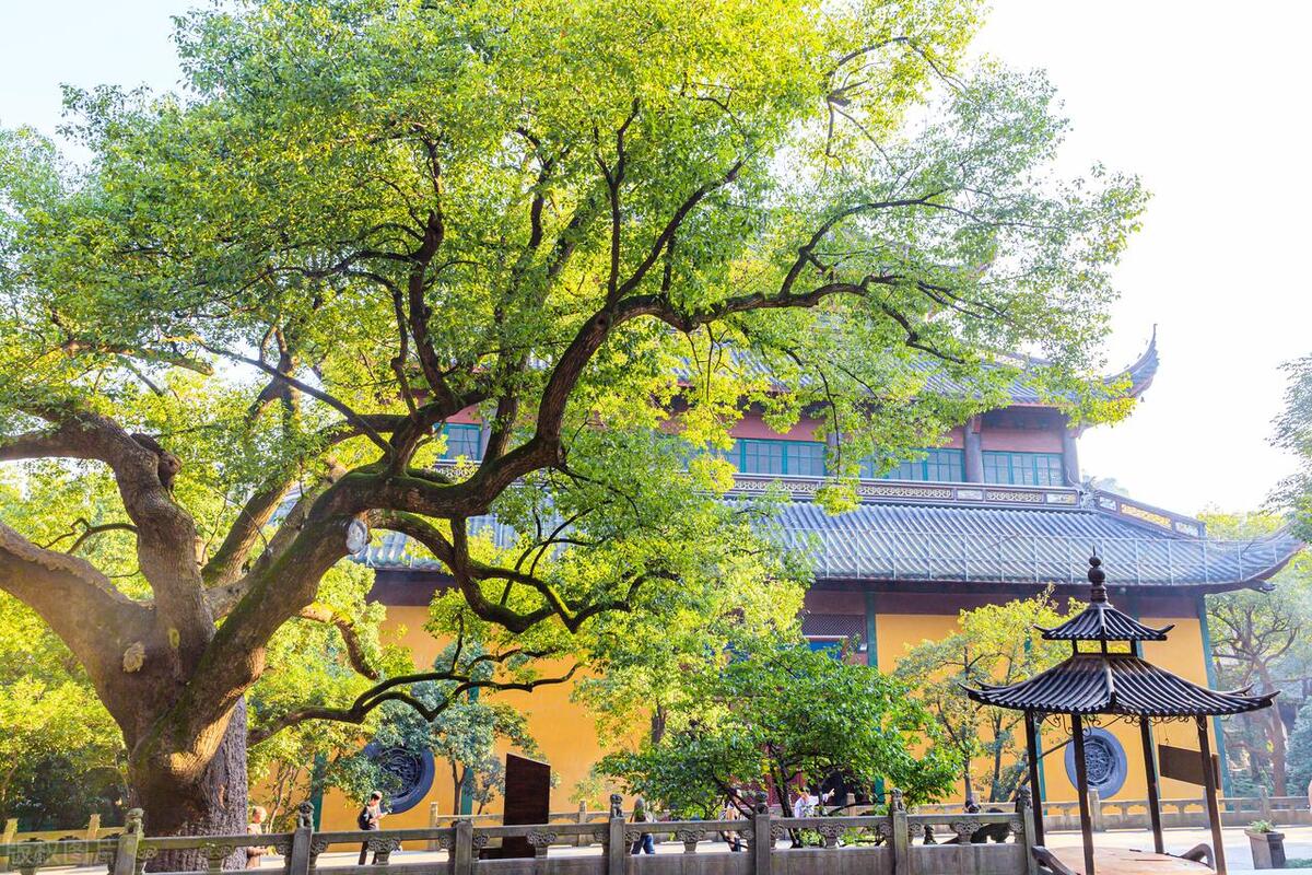 浙江旅游必打卡景点_诗画浙江十大景点推荐_杭州横店乌镇