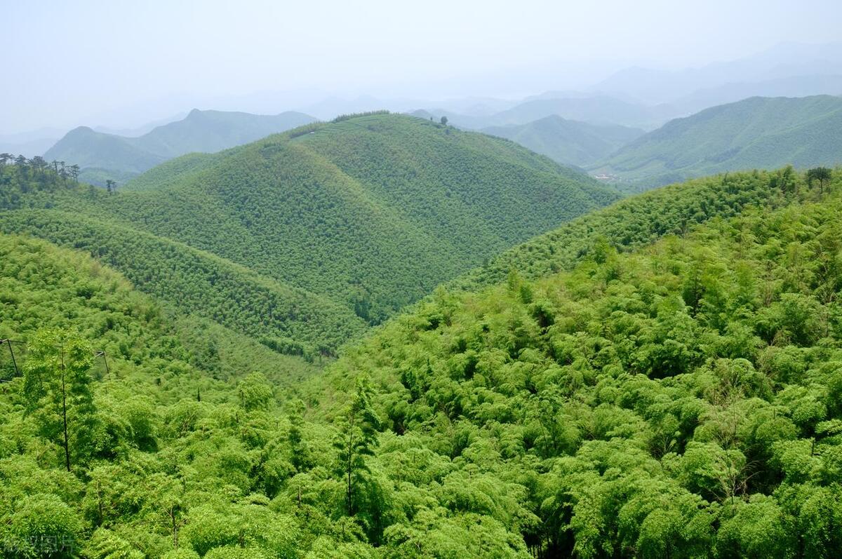 诗画浙江十大景点推荐_浙江旅游必打卡景点_杭州横店乌镇