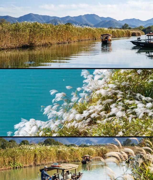 2026浙江新玩法 西湖乌镇普陀山体验 _杭州横店乌镇_ AI管家乌镇消费自动记账 