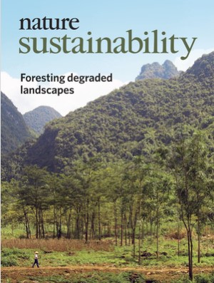 喀斯特地区石漠化治理与生态恢复研究_大西南石山区生态保护与农业可持续发展研究_西南喀斯特区域生态恢复成效评价