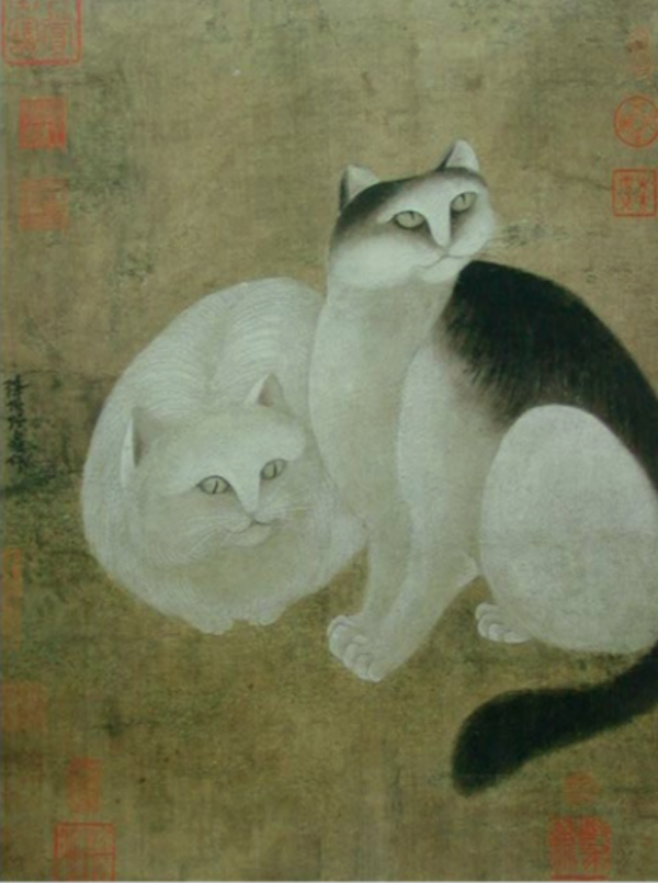 宋代猫别称寓意象征_纯黑色的猫有什么说法_宋猫品种介绍