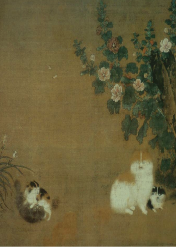 宋猫品种介绍_宋代猫别称寓意象征_纯黑色的猫有什么说法