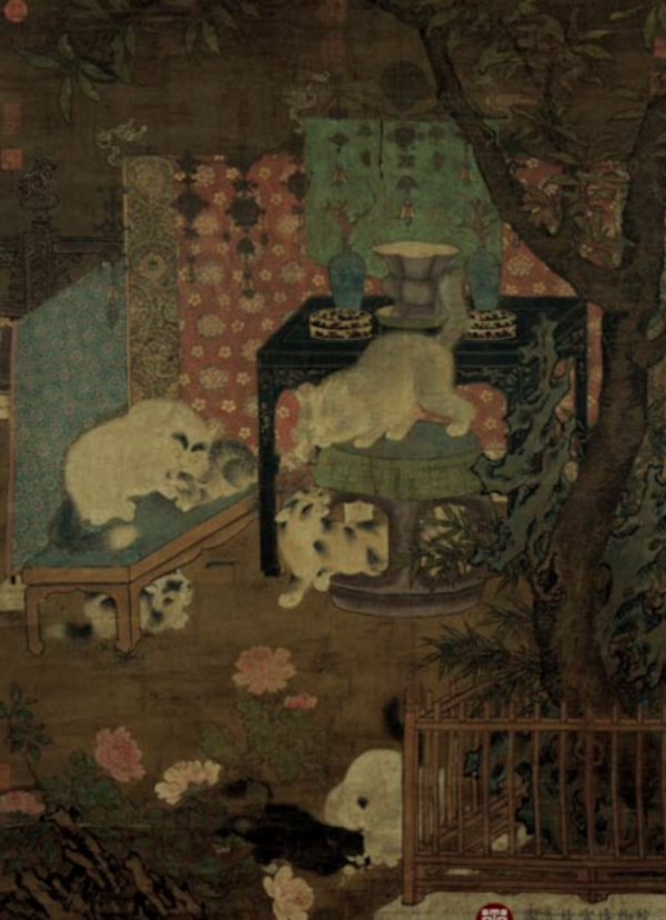 纯黑色的猫有什么说法_宋猫品种介绍_宋代猫别称寓意象征
