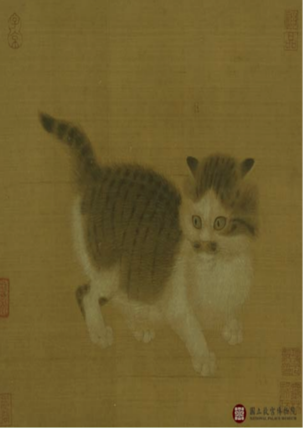 纯黑色的猫有什么说法_宋代猫别称寓意象征_宋猫品种介绍