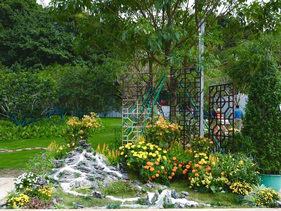 羊城菊会2023 广州文化公园菊花展览 西南广场菊王_文化公园菊花展