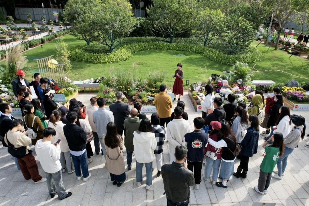 广州文化公园羊城菊会_文化公园菊花展_第三届广州高校菊花艺术园圃比赛