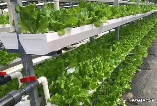 种养循环生态现代农业示范基地项目_生态农业综合开发项目可行性研究报告_安徽省种养循环生态现代农业示范基地