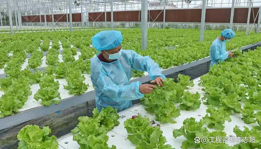 种养循环生态现代农业示范基地项目_安徽省种养循环生态现代农业示范基地_生态农业综合开发项目可行性研究报告