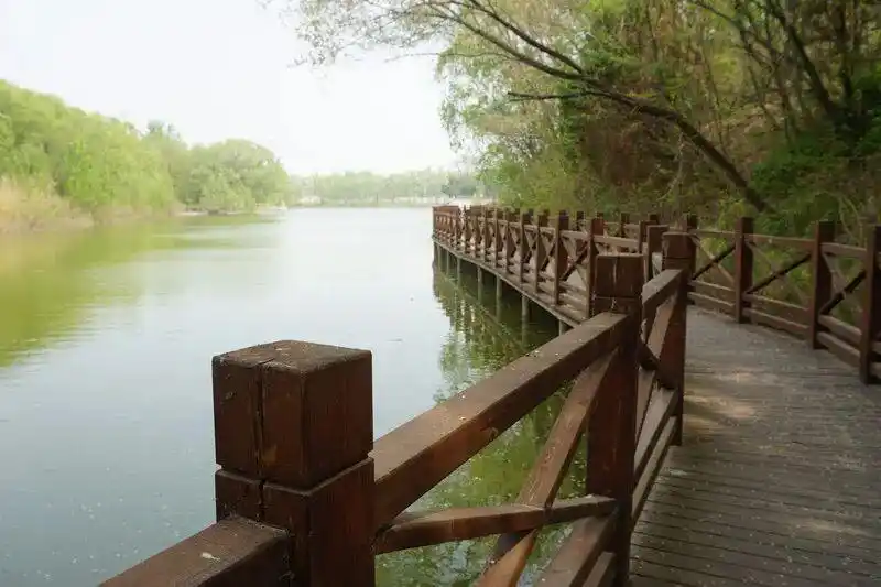 水浒穿越武松的小说_山东阳谷景阳冈旅游区_水浒传景阳冈
