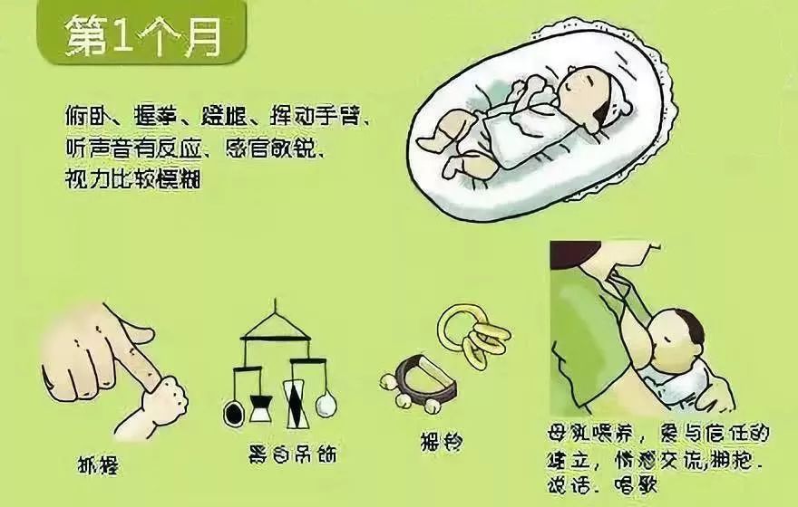 婴儿脱头发是什么原因_宝宝发育里程碑_宝宝发育图解