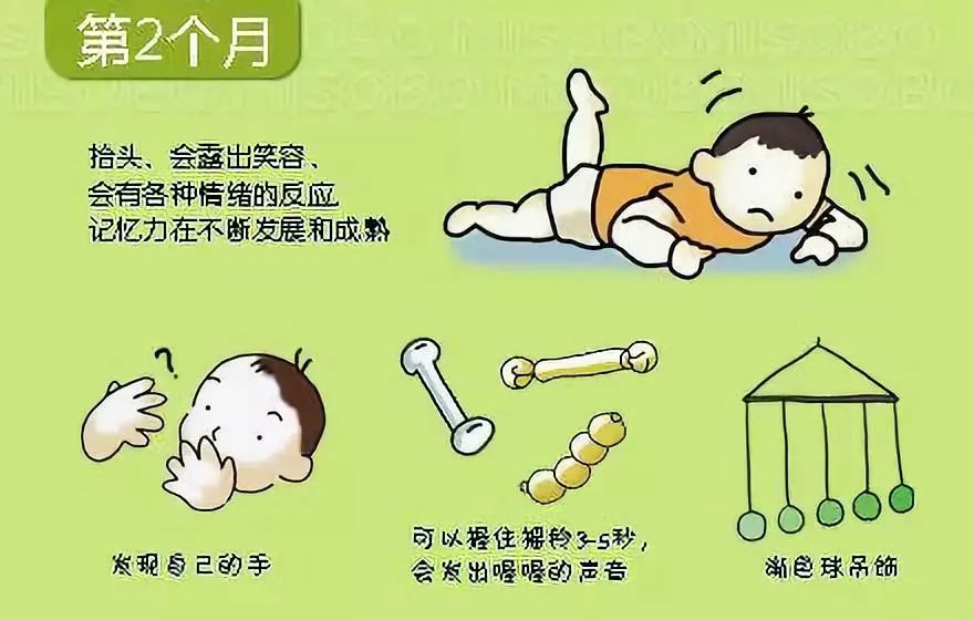 宝宝发育里程碑_婴儿脱头发是什么原因_宝宝发育图解