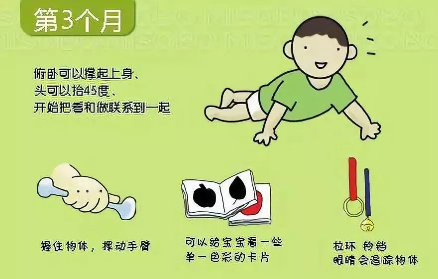 婴儿脱头发是什么原因_宝宝发育图解_宝宝发育里程碑