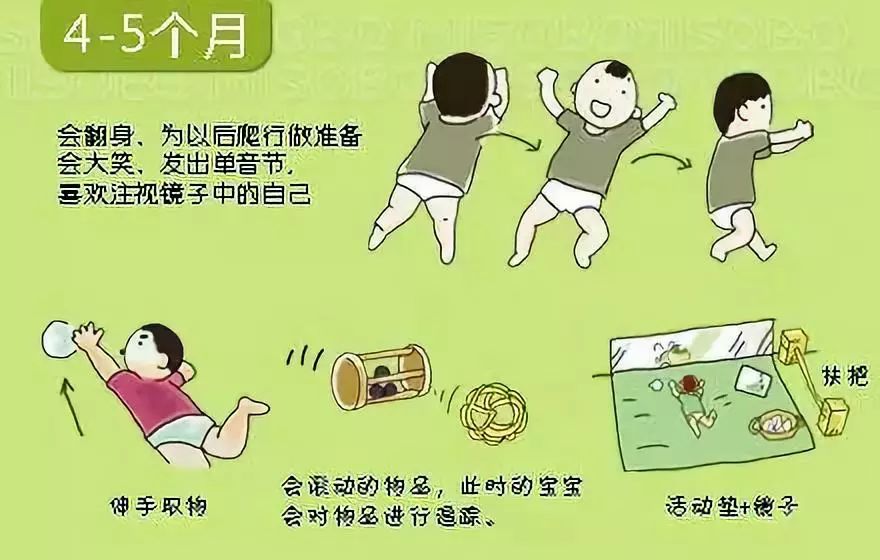 宝宝发育图解_婴儿脱头发是什么原因_宝宝发育里程碑