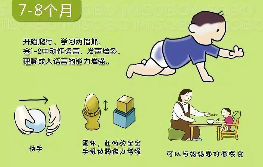 婴儿脱头发是什么原因_宝宝发育图解_宝宝发育里程碑
