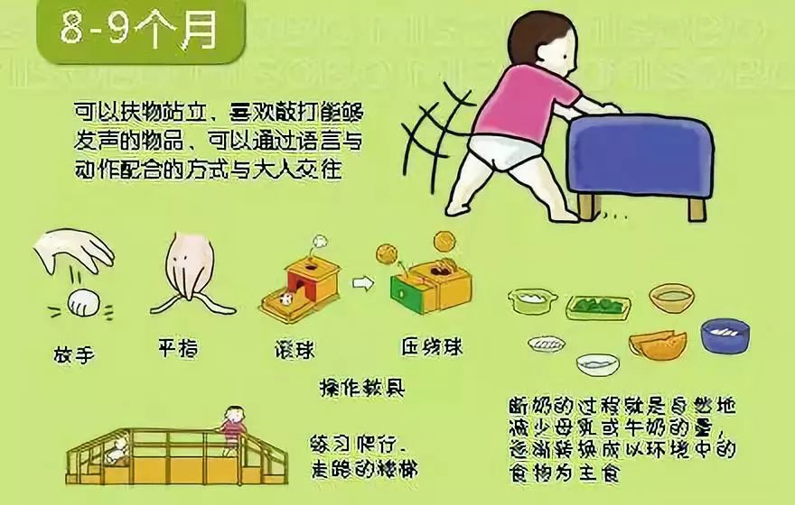 宝宝发育图解_宝宝发育里程碑_婴儿脱头发是什么原因