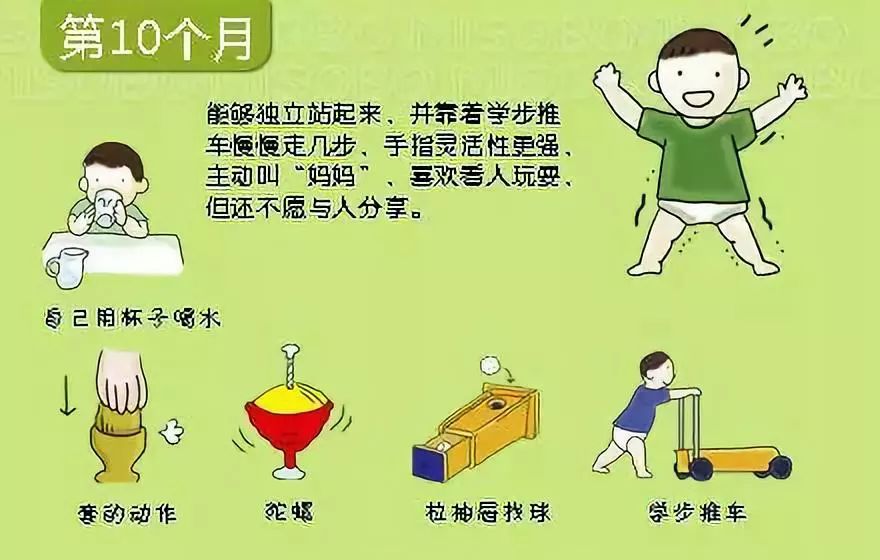 宝宝发育里程碑_婴儿脱头发是什么原因_宝宝发育图解