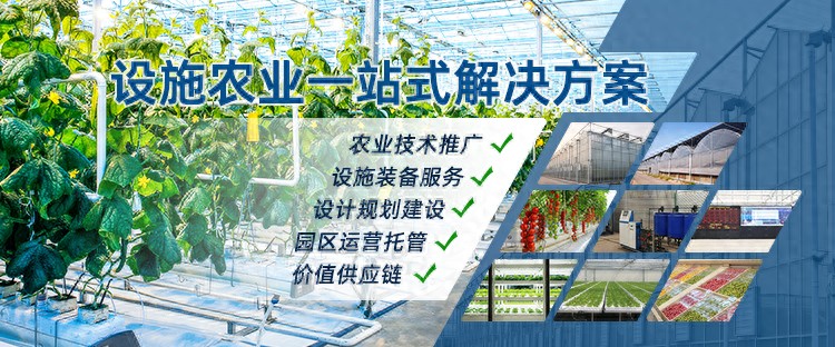 大棚西瓜裁苗温度_文洛式连栋温室介绍_温室大棚种类