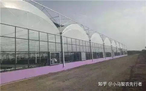 大棚西瓜裁苗温度_土墙日光温室大棚特点_日光温室大棚类型