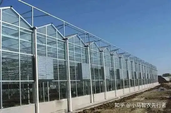 日光温室大棚类型_大棚西瓜裁苗温度_土墙日光温室大棚特点