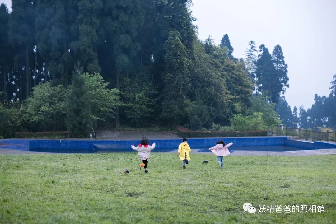 四川玉屏山露营体验_玉屏山旅游攻略_洪雅野鸡坪