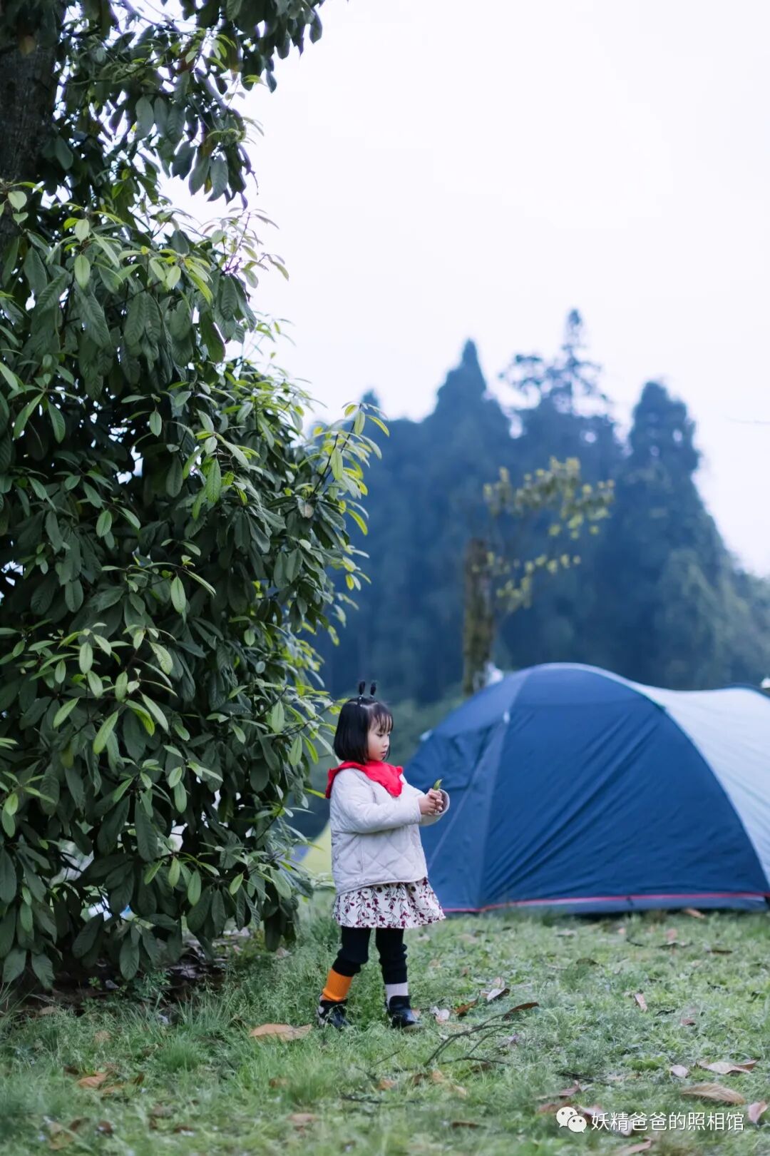 玉屏山旅游攻略_洪雅野鸡坪_四川玉屏山露营体验