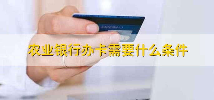 办储蓄卡需要什么材料_农业银行办理信用卡需要什么条件_办信用卡需要什么条件
