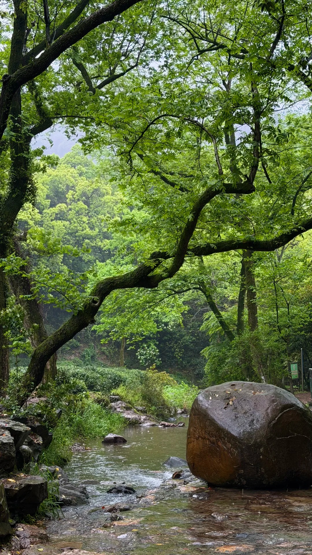 西湖烟雨江南风情_杭州自助旅游攻略_五一杭州保姆级攻略